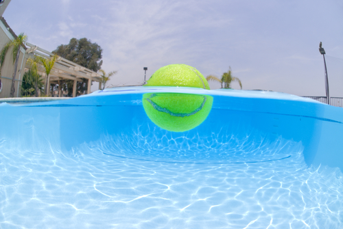 Tennis ball in pool