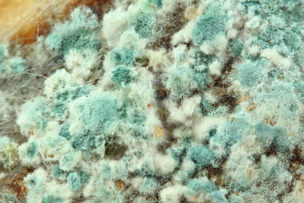 Preventing mold growth hot tubs