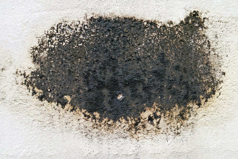 Preventing mold growth hot tubs